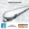 Réglette LED 150 cm - Haute luminosité