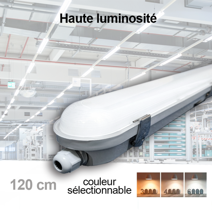 Réglette LED TRIDONIC 150 cm - Haute Luminosité - 9000 Lm