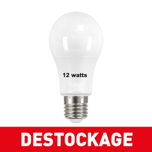 Ampoule 12 watts