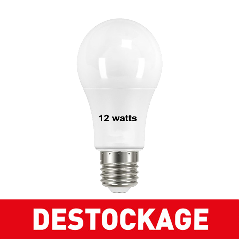 Ampoule 12 watts