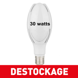 Ampoule LED 30W - 360° -...