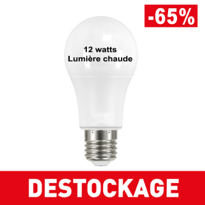 Ampoule LED - 12 watts -...