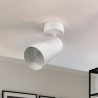 Éclairage orientable - BLANC - pour ampoule GU10
