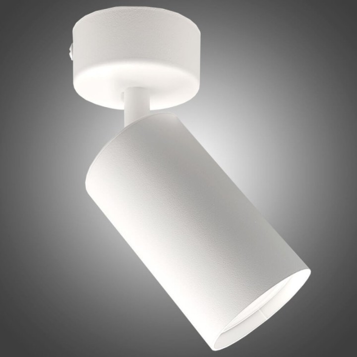 Éclairage orientable - BLANC - pour ampoule GU10