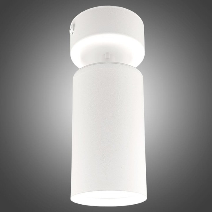 Éclairage orientable - BLANC - pour ampoule GU10