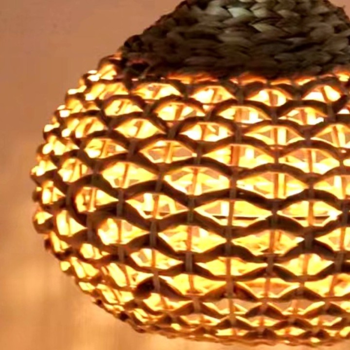Lampe Suspendue - VAS pour LED E27