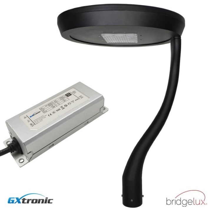 Réverbère LED 65 watts noir | Aluminium une branche | Éclairage Extérieur