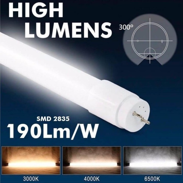 Pack de 10 Tubes LED 10W 60cm T8 Verre, 1700Lm, haute luminosité économique