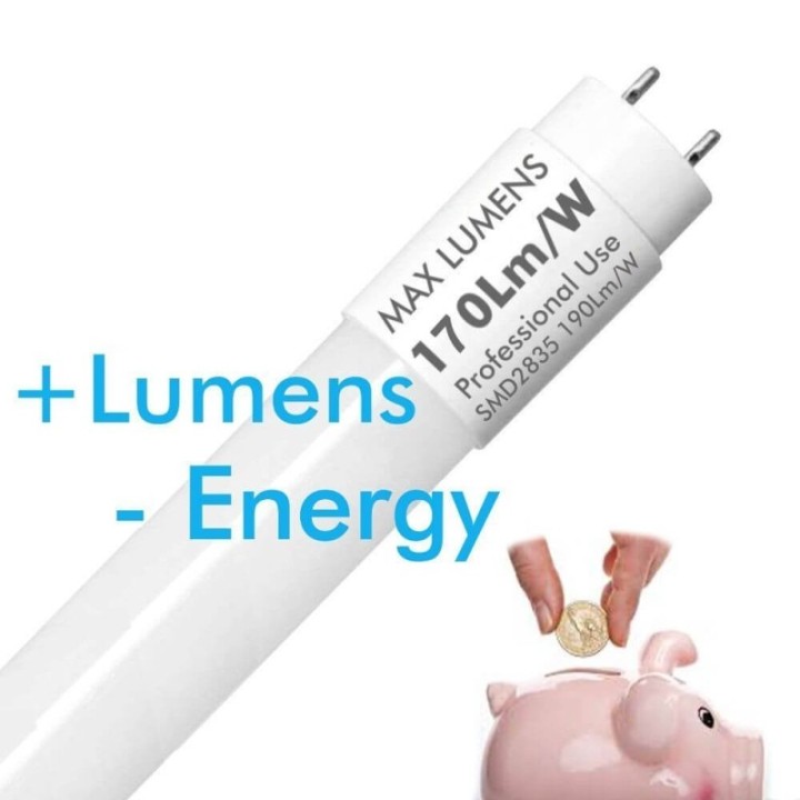 Pack de 10 Tubes LED 10W 60cm T8 Verre, 1700Lm, haute luminosité économique