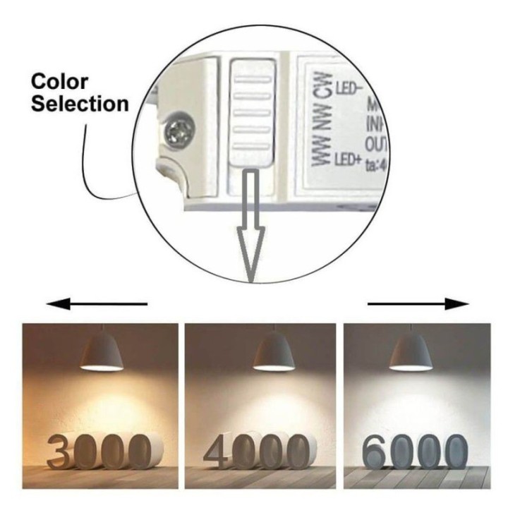Mini spot LED 6W Blanc - Bridgelux - 40° - UGR11- CCT