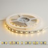 Ruban LED 24V/ 12W - 5M - IP20 Intérieur