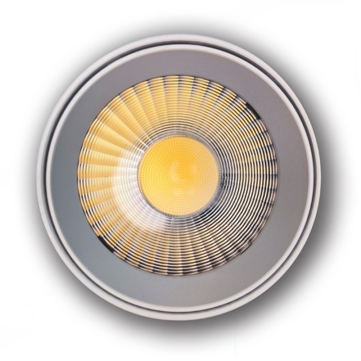 Spot LED rail monophasé 30W - CCT